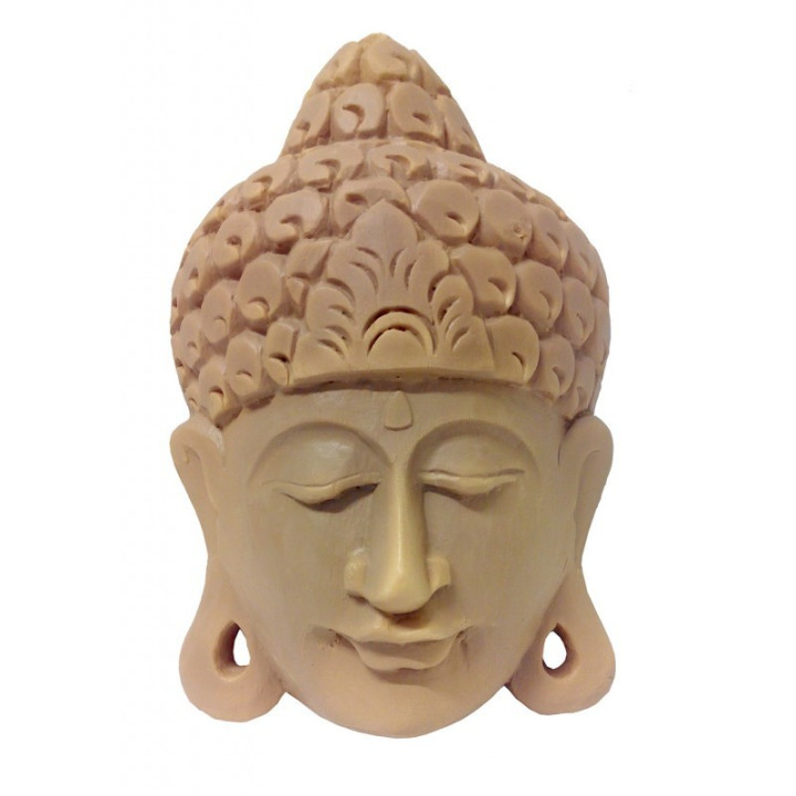 copy of 